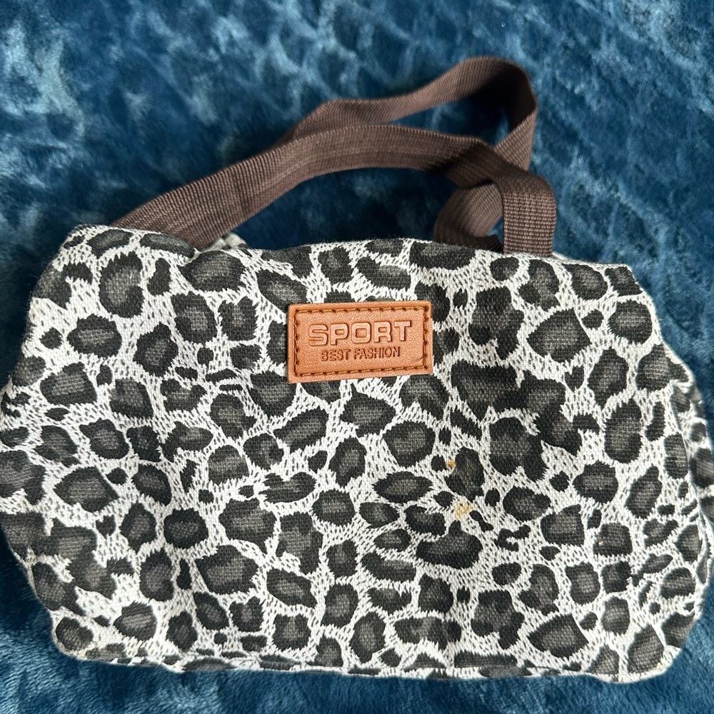 Cheetah lunch box
